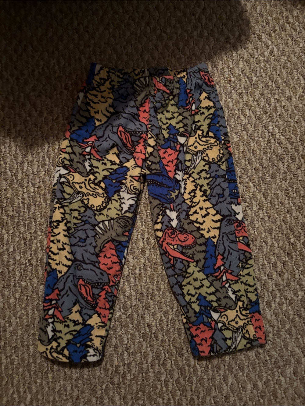Carter’s Colorful Dinosaur Fleece Print Kids Pants